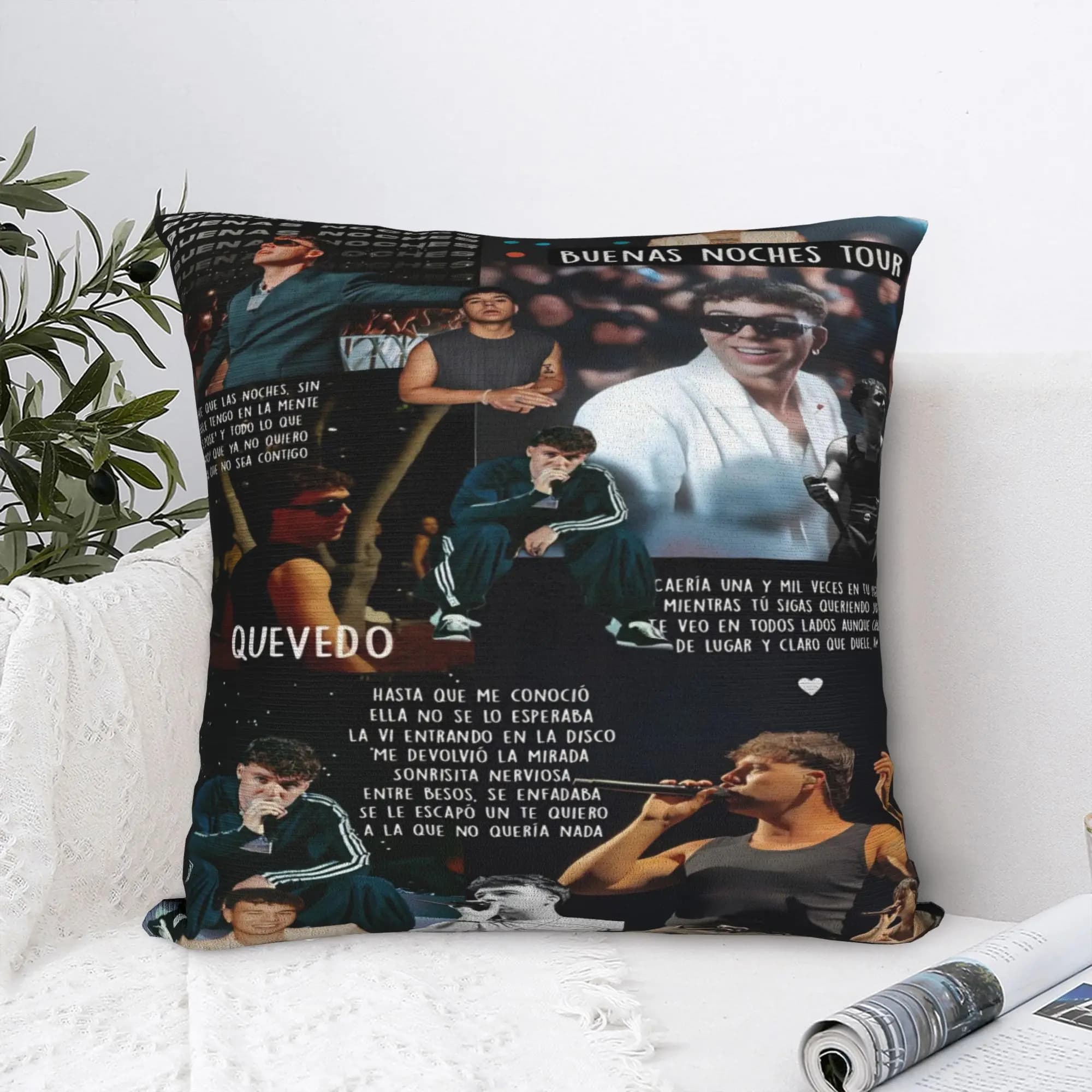 QUEVEDO EL BAIFO 2026 Pillowcases Product Printing Cushion Cover Pillow Covers Chair Decoration Zipper Multi Size