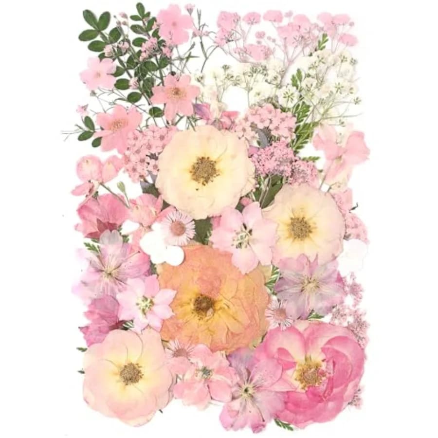 14 Tipi di Fiori Secchi Pressati Rosa per Artigianato, Herbarium di Foglie e Piante per Stampi in Resina, Creazione di Gioielli e Decorazioni Floreali