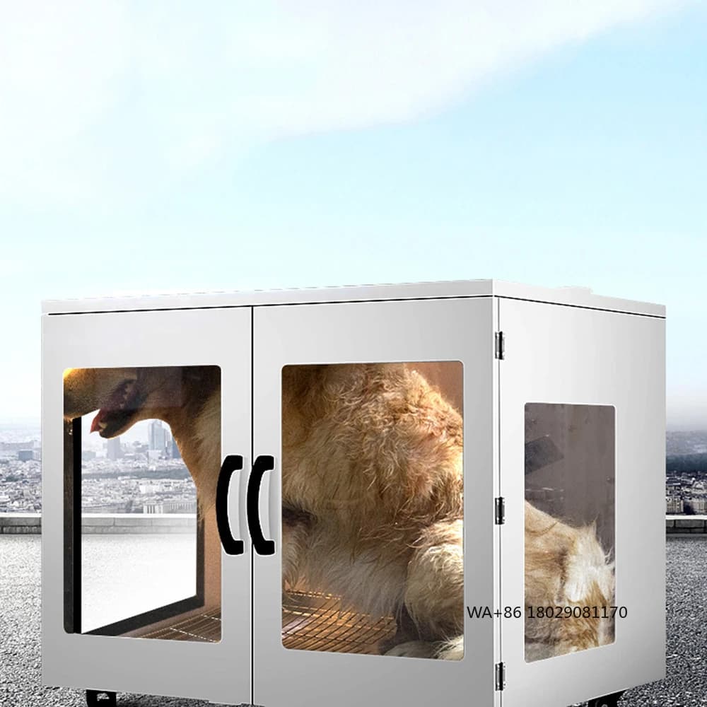 Scatola per macchina in plastica per toelettatura di piccoli animali Asciugacapelli automatico portatile intelligente per animali domestici per cani e gatti