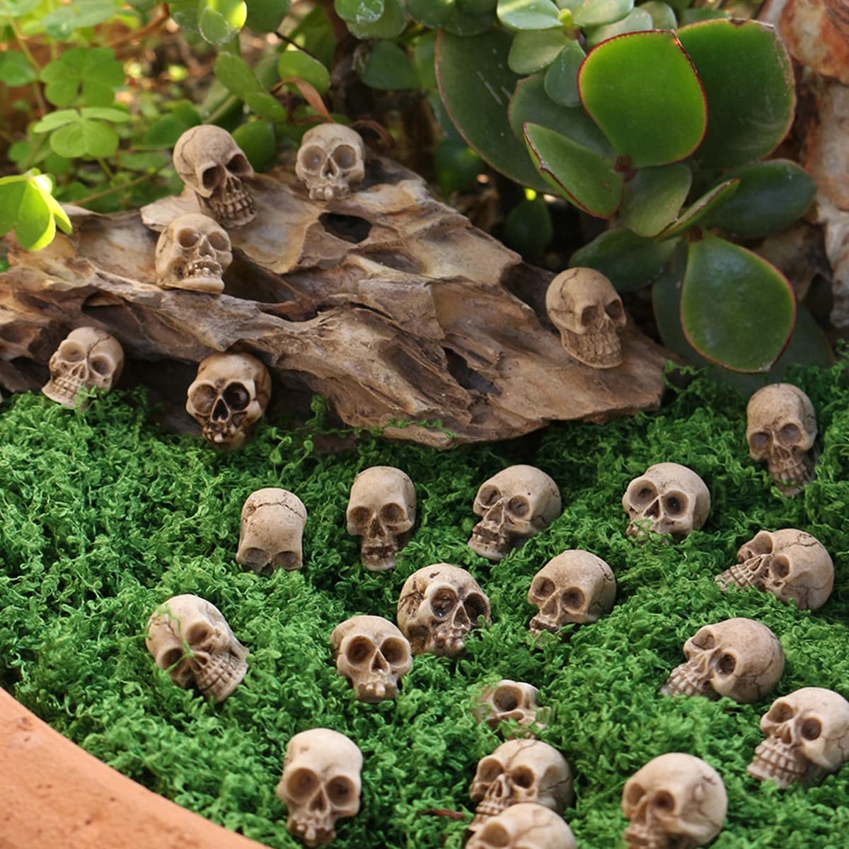 20 Pezzi Mini Modelli di Teschi da Collezione, Sculture Gotiche di Teschi per Halloween, Decorazioni Creative a Tema Festivo per Giardino e Piante in Vaso