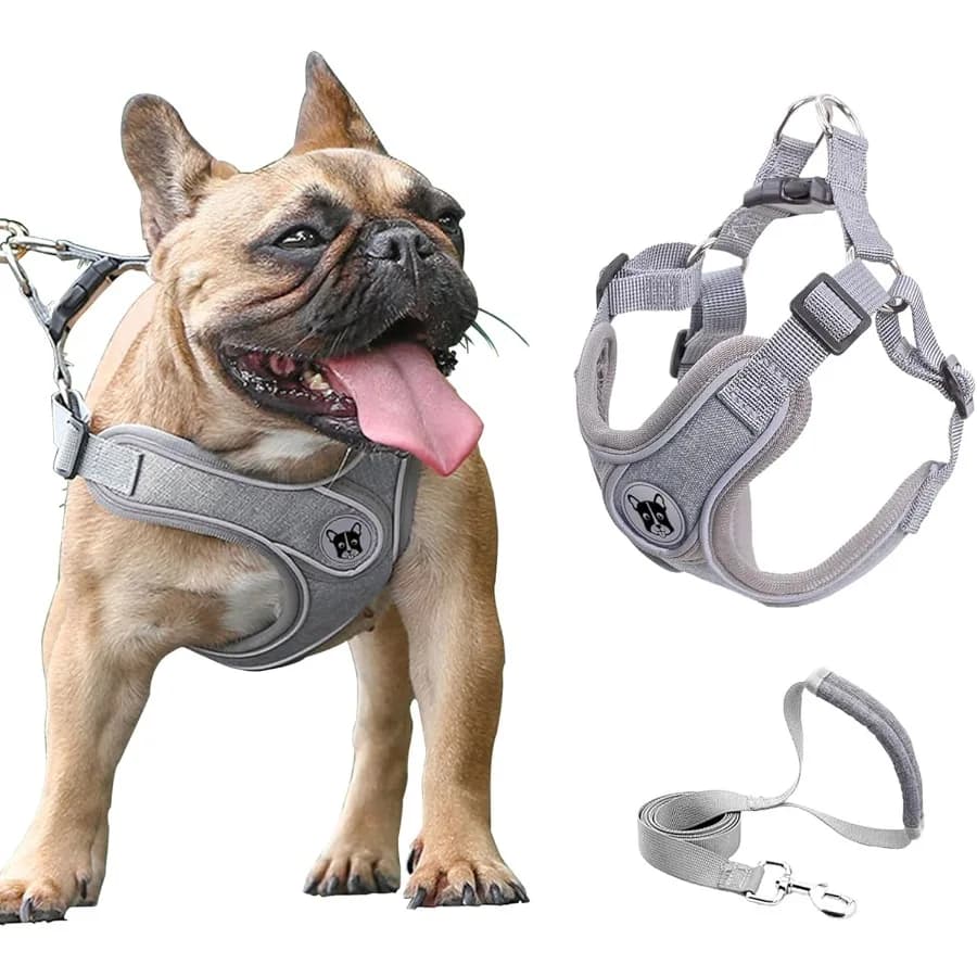Set di imbracatura e guinzaglio per cani medi. Passo regolabile senza tirare. Imbracatura per gilet in rete morbida. Imbracatura riflettente per animali domestici facile da camminare con imbottitura