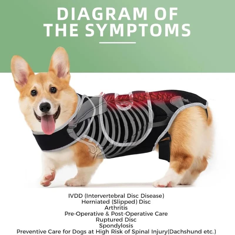 Dog Back Brace Support Vest for IVDD Pain Relief Spine Injury Recovery Pet Rehabilitation Adjustable Comfortable Harness