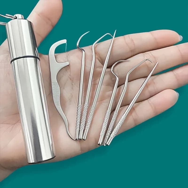 Stainless steel toothpick set Reusable toothpick remover tool with floss Detergent for portable teeth oral cleaning