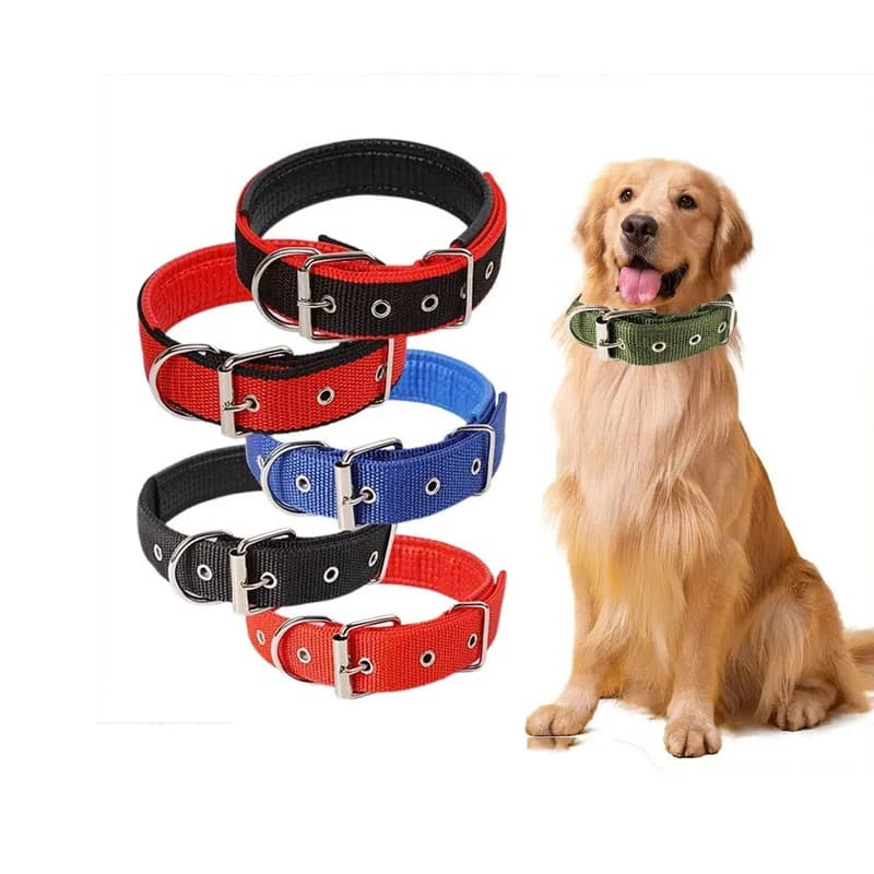 Collare per cani morbido Protezione delicata per il collo Comodo collare per animali domestici foderato in schiuma di polipropilene regolabile e durevole, all'ingrosso