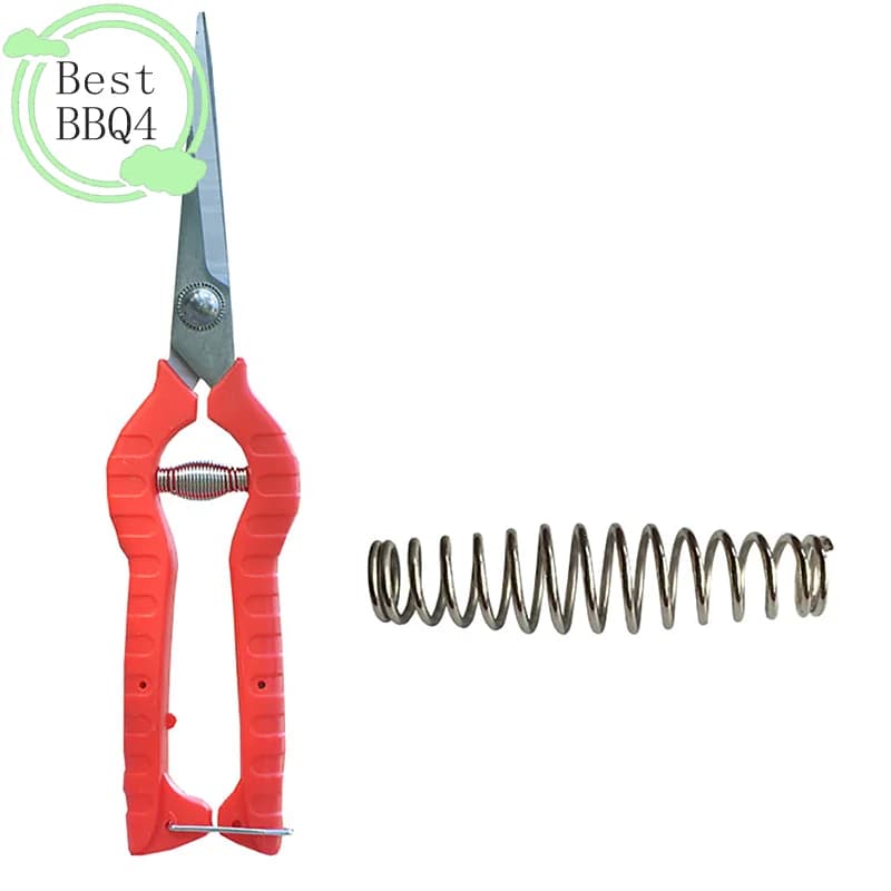 (BBQ4) Set di 5 Molle di Ricambio per Cesoie da Potatura, Molle da Giardino per Forbici da Innesto, Componenti per Attrezzi
