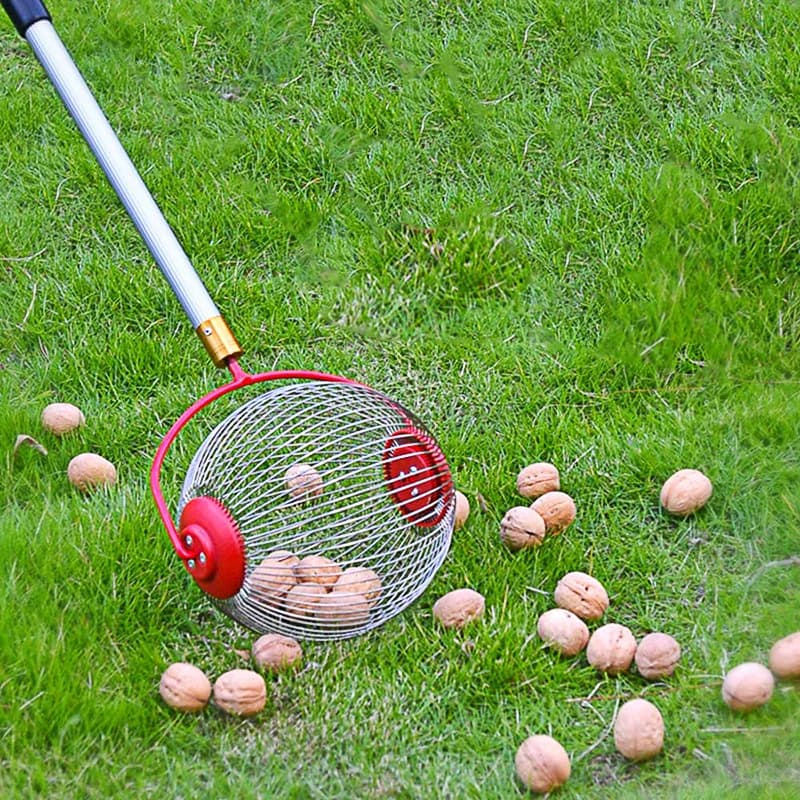 Raccoglitore di Noci e Palline Regolabile e Leggero per Uso Esterno, Strumento Manuale per Noci, Pecan, Palline da Golf e Altri Tipi di Noci