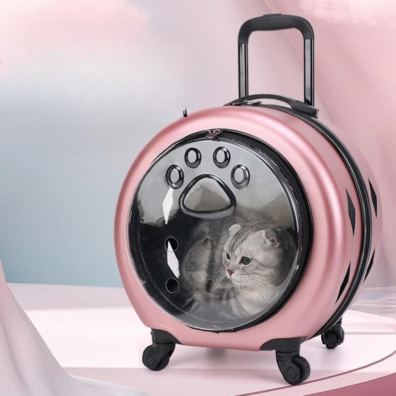 Trasportino per gatti Trasportino per animali Zaino per gatti Borsa per trasporto di gatti Trasportino per piccoli animali Custodia per trolley per animali PC portatile rinforzato trasparente