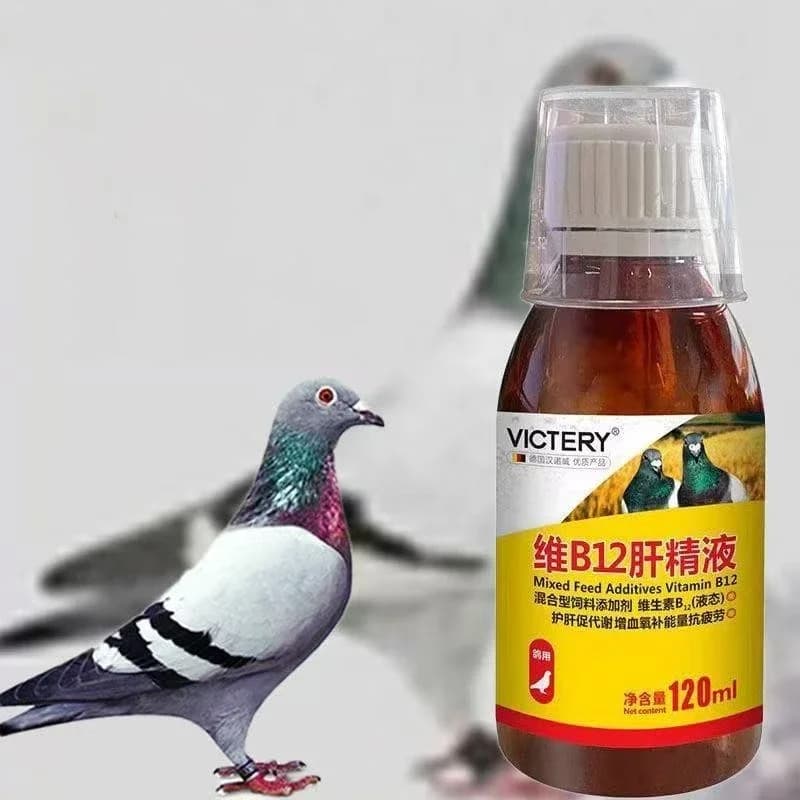 Tonic for Piccioni from Corsa 120ml, Vitamin B12 Integrator for Liver, Energy and Rapid Recovery, Lactic Acid Elimination, Pig Medicine