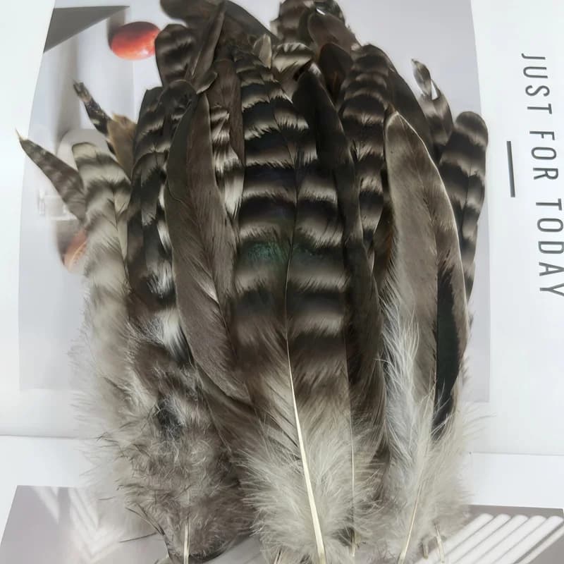 100Pcs 5-7" 12-18cm Natural Grey Chinchilla Rooster TAIL FEATHERS,Plume Decoration,DIY Jewelry Accessories,Dreamcatcher Material