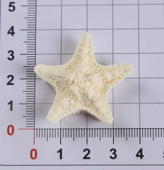 10 Pcs Starfish Resin Accessories for Junk Phone Case, iPad Case, Hair Clip, Flat Back Decoration