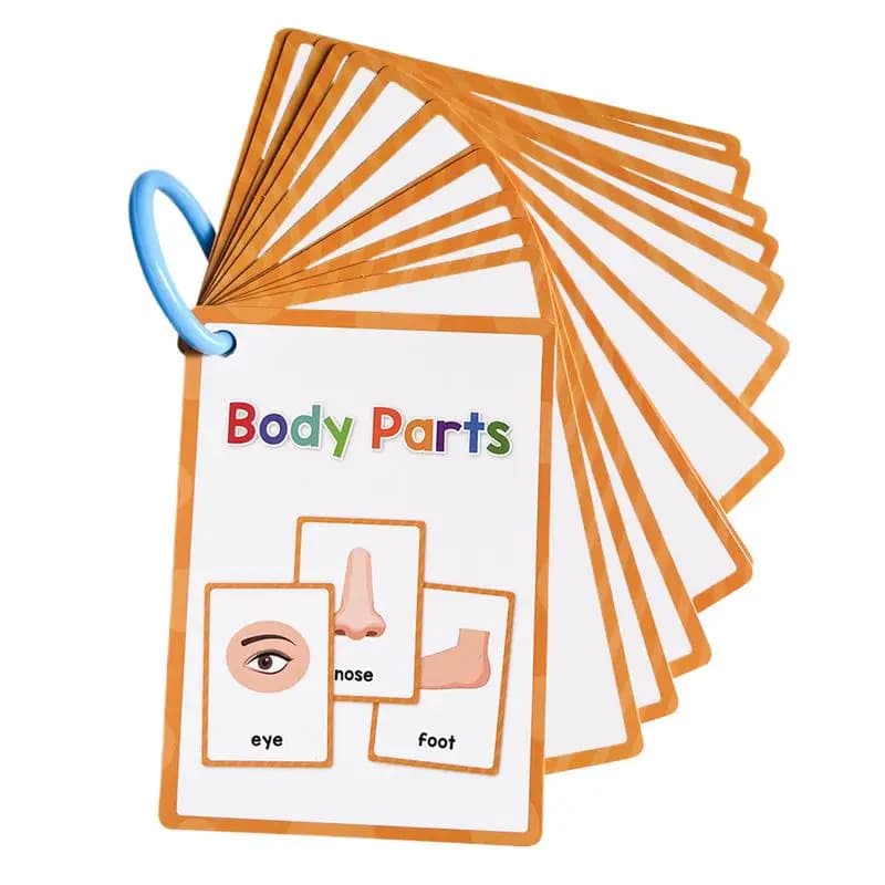 Body Parts Flash Cards English Pocket Card 15Pieces Body Parts Flash Card Vocabulary Words Flashcard Educational Learning