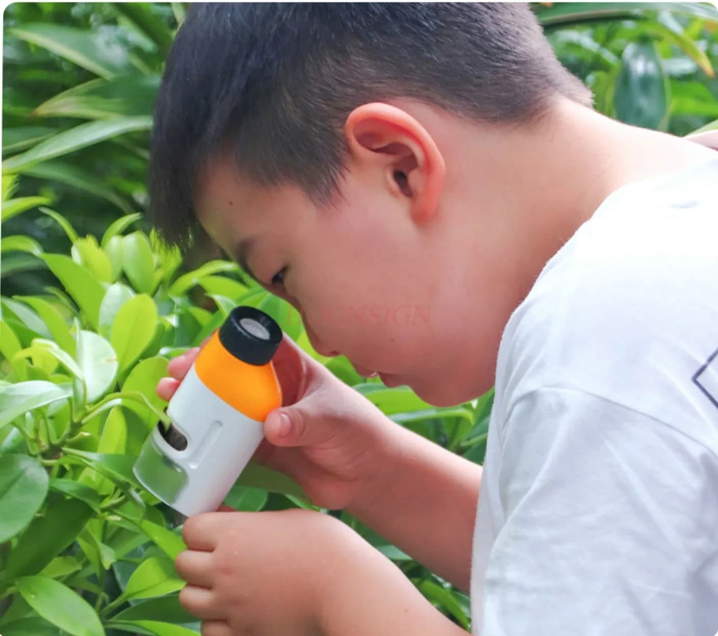 Microscopio per studenti di scienze per bambini, microscopio per l'illuminazione scientifica ad alta definizione