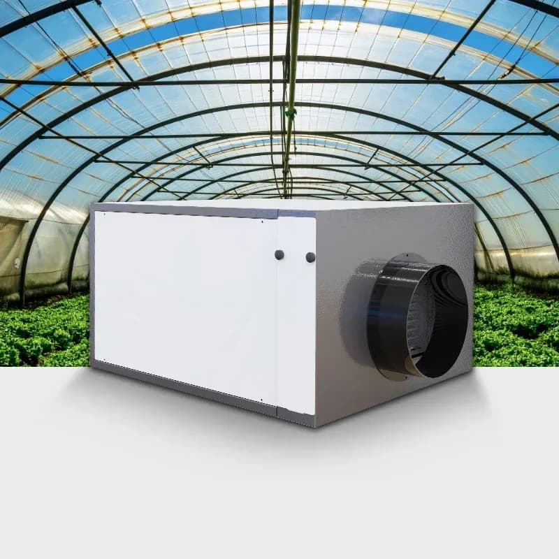 2025/Preair 145L/giorno Sala coltivazione Deumidificatore essiccante ad aria industriale Serra