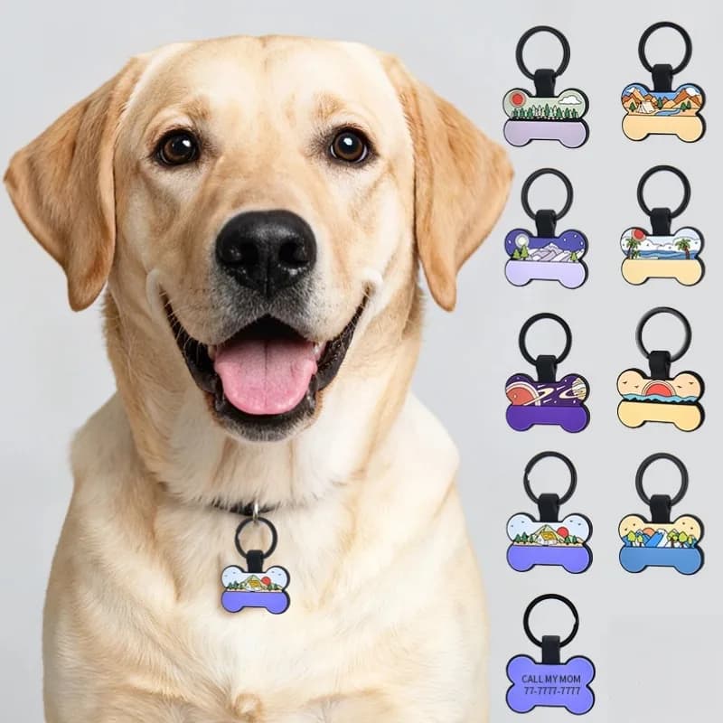 2026 Silicone bone Pets Anti-smarriage Label Dog Collar for Puppies Tagged with name Custom dog accessories Custom pets identification tag Pendant