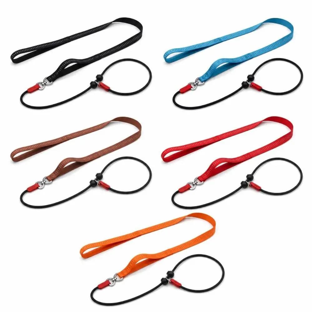 Effective Nylon Dog Training Leash 150cm Durable Slip Lead Leash 5 Colors Slip Design Control Leash for Dogs For Small Dogs