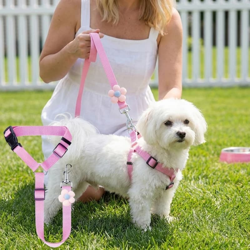 Cintura di Sicurezza per Auto per Animali Domestici 2-in-1, Guinzaglio in Nylon, Cintura di Sicurezza per Sedile Posteriore, Collare Regolabile per Cani, Restrizione per Poggiatesta Auto