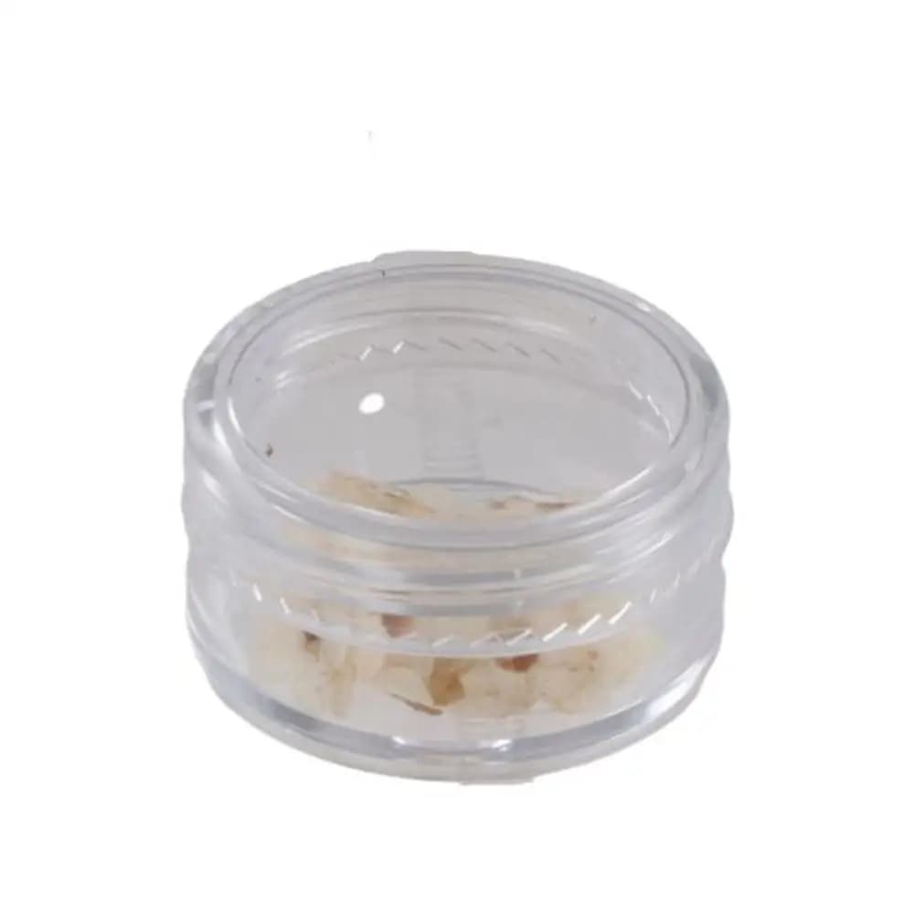DIY Natural Jewelry Candle Making Don't Forget Me Forget-Me-Not Dried Flowers Pressed Flower