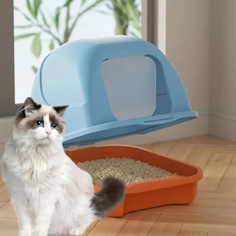 Grande lettiera per gatti con coperchio Lettiera per gattini chiusa con lettiera per gatti Toilette chiusa per gatti Interni spaziosi per animali domestici