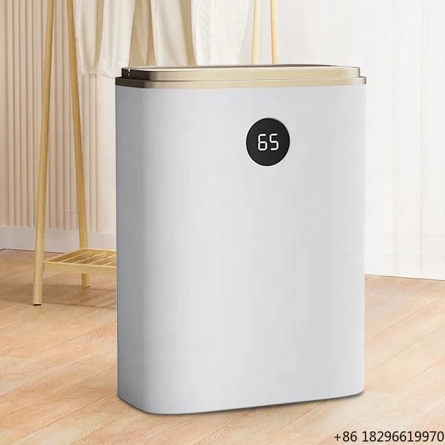 Purificatore d'Aria e Deumidificatore da 5,5L con Display dell'Umidità per Casa, Stanza e Ufficio