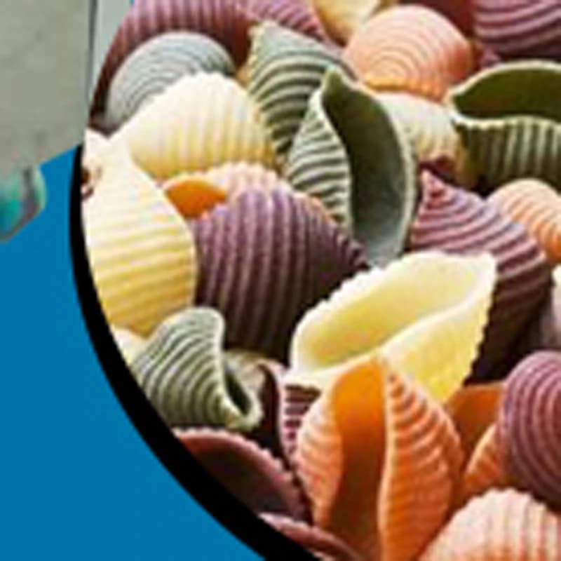 Macchina Industriale per la Produzione di Maccheroni e Spaghetti con Prezzo di Fabbrica