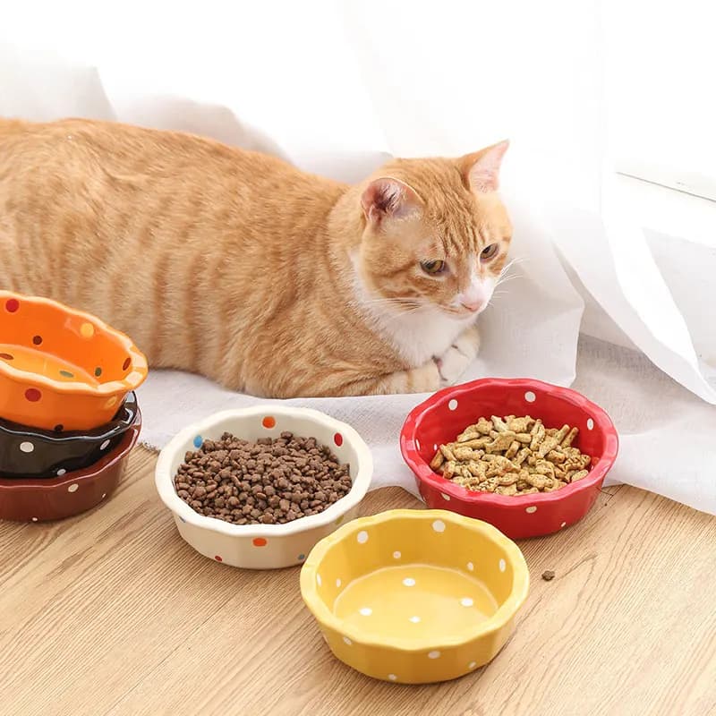 Ciotola in ceramica per gatti, per cibo e acqua, per animali domestici, per cuccioli, per cani, piatti per cibo, ciotola per mangiare, accessori in porcellana per gatti