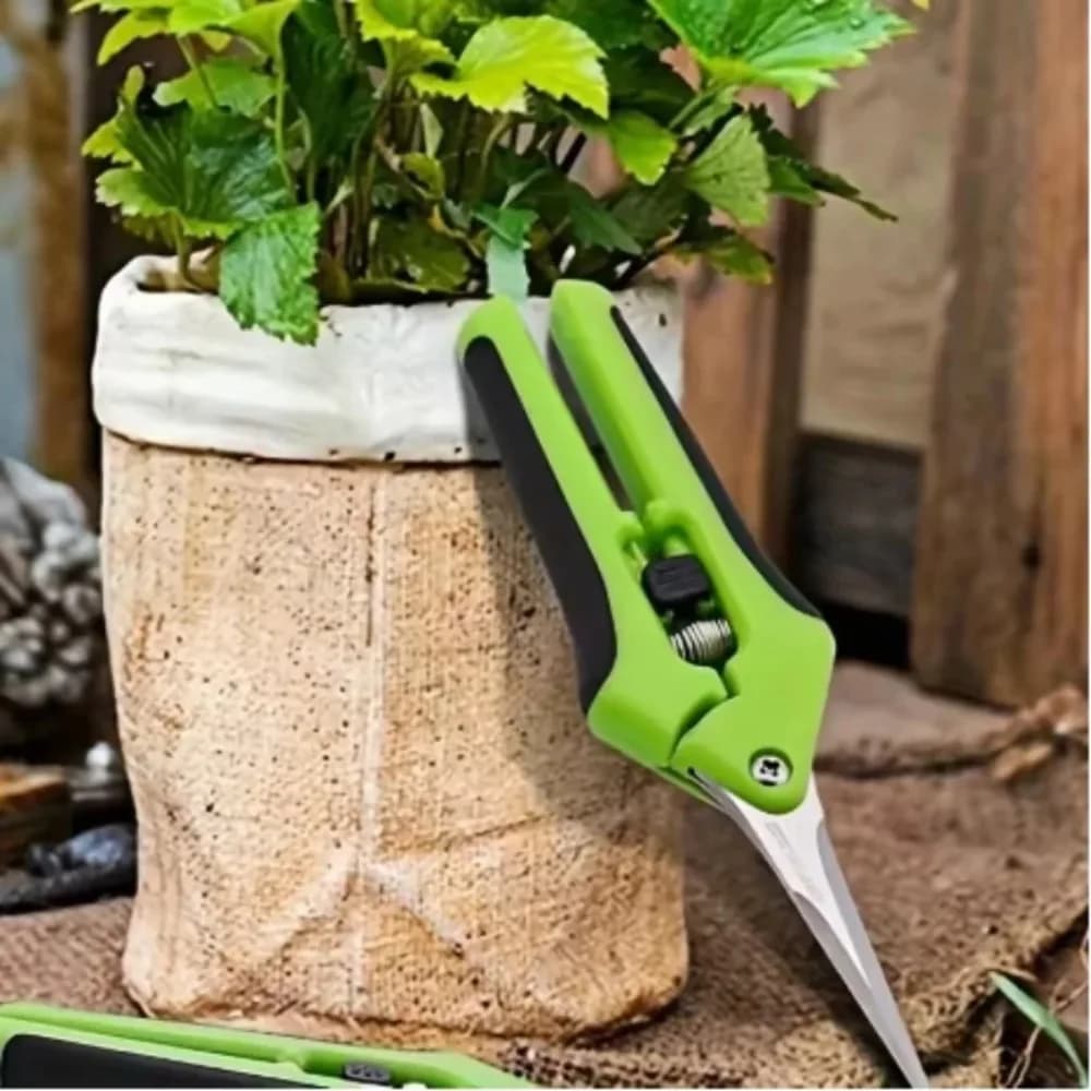 Cesoie da potatura manuali da 6,5 pollici Lame in acciaio inossidabile ad angolo retto per giardinaggio di frutteto di piante