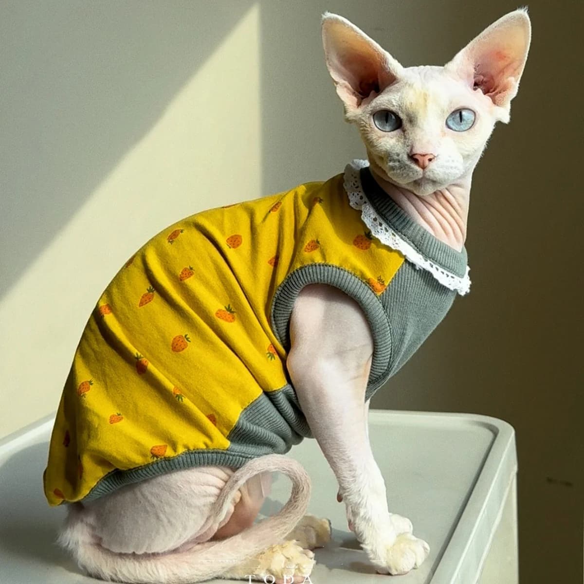Clothing for Cat Spring Sweet Yellow Green Cotton Lace Collar Vest for Devon Rex Summer Sleeveless Cute T-shirt for Sphynx Cat
