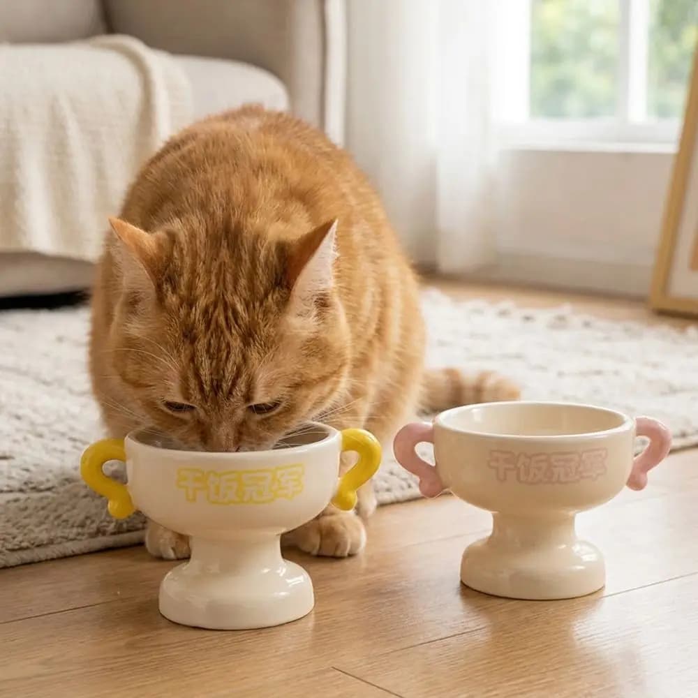 Elevated Cat Food Water Bowl Non-Slip Base Large Capacity Ceramic Pet Bowl Stable High Feet Pet Food Basin Small Pets