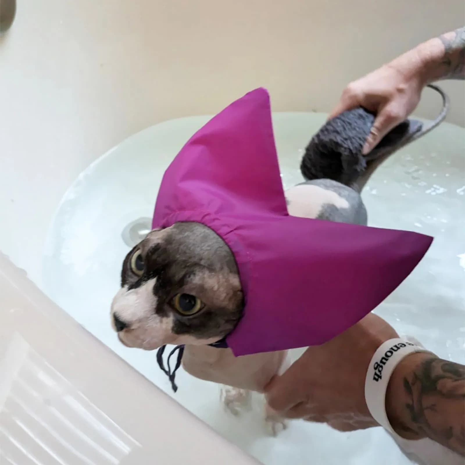 Cappucci da bagno per gatti, carini e resistenti, per tenere l'acqua all'entrovia quando i gatti nuotano, copricapo per il bagno per evitare che l'acqua si infilzi nelle orecchie