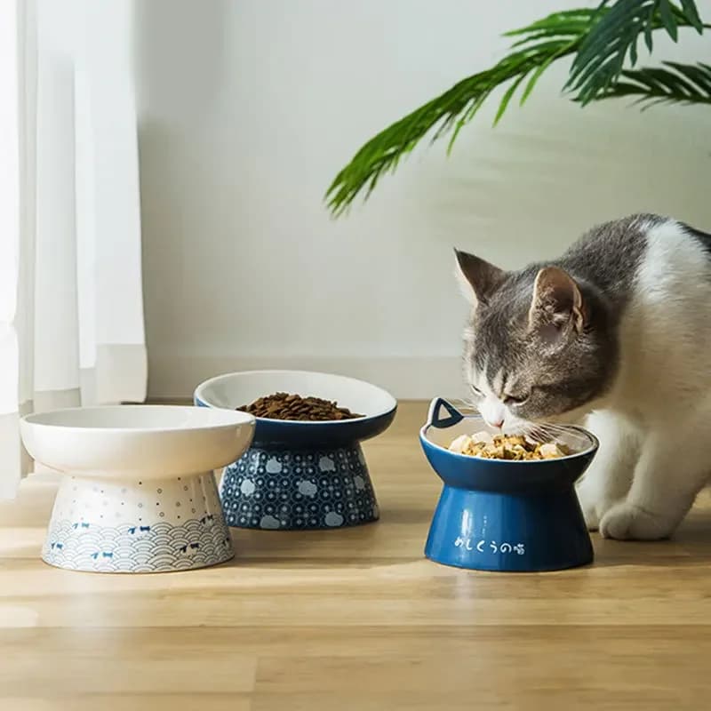 Ciotola per gatti rialzata inclinata Ciotola per cani in ceramica per gatti Piatto anti vomito Alimenti per animali domestici Alimentatore per acqua Ciotola per cani rialzata Accessori per animali Erba per gatti