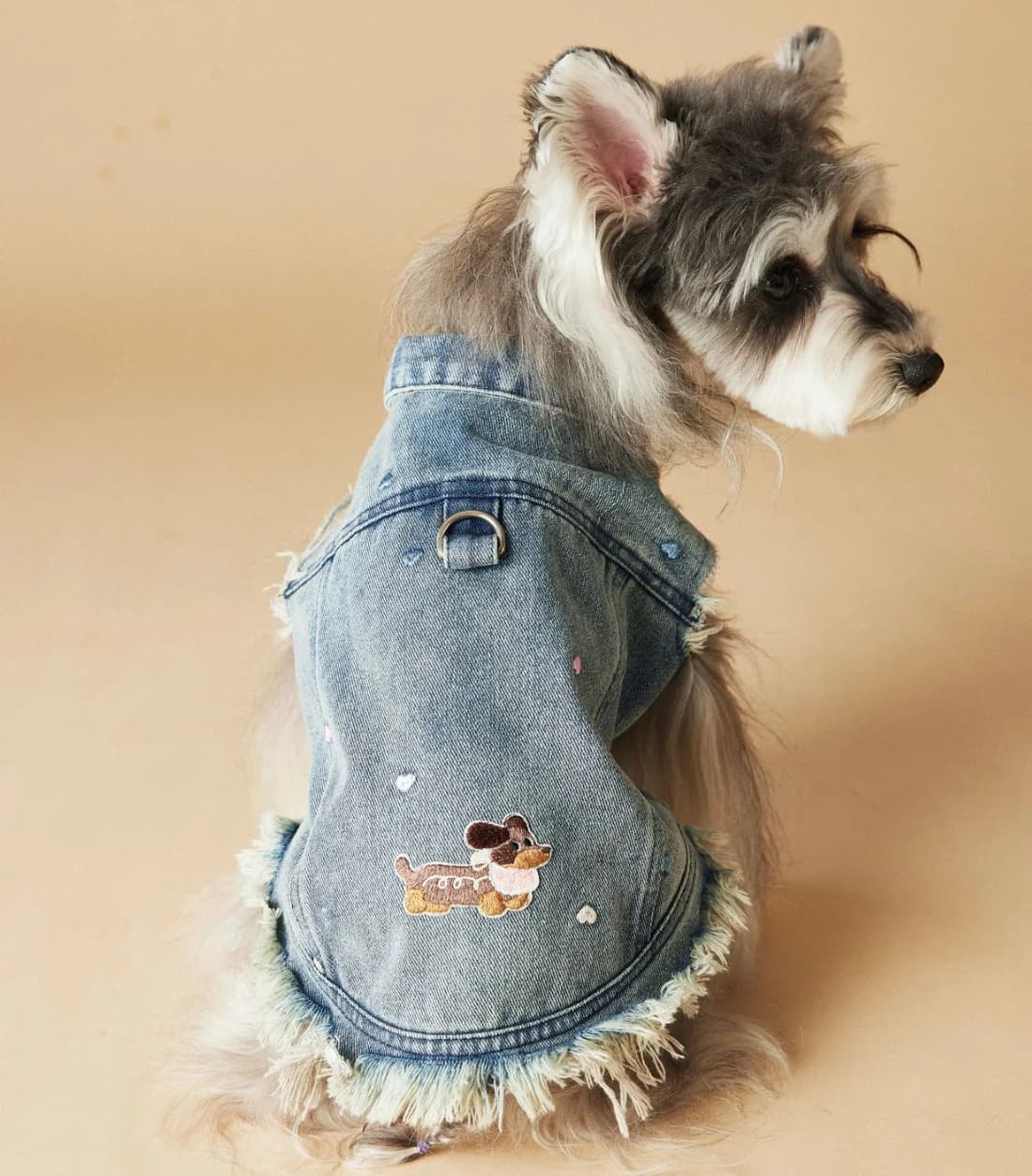 Gilet da cowboy senza maniche per cani, canotta per cani Tony Bears, Teddy, Schnauzer Bears, Marquis, Amore, Primavera, Estate, Nuovo