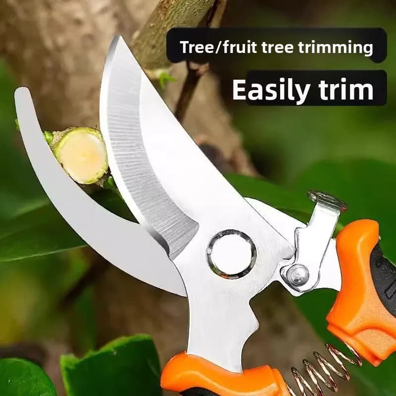 Professional garden scissors resistant for pruning of branches that trim fruit trees Gardening shears for the house