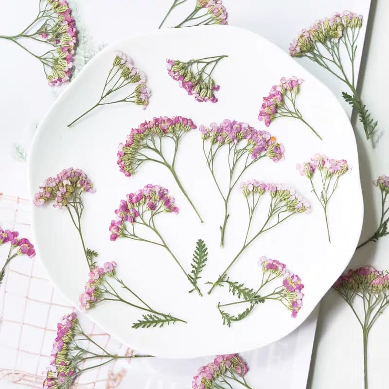 60 pz Pressato Secco Yarrow Acquilleawilsonia Fiore Erbario Resina Epossidica Gioielli Carta Segnalibro Cornice Cassa Del Telefono Lampada per il trucco del viso