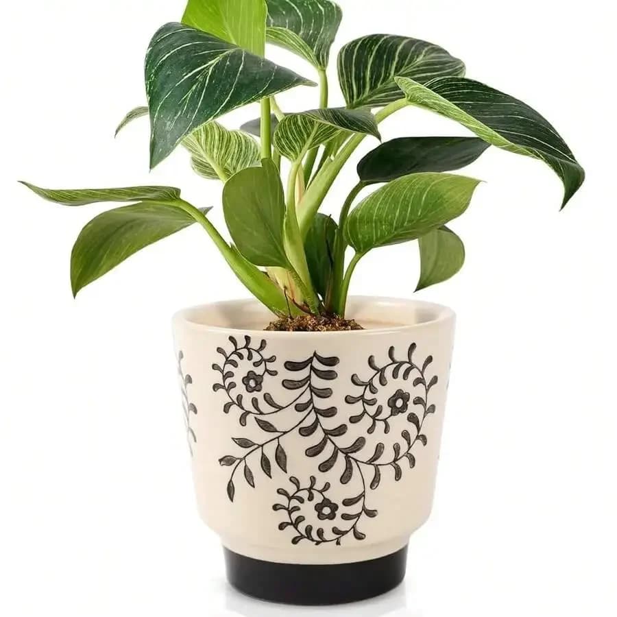 5 Inch Ceramic Planters For Indoor Plants, Funny Small Plant Pots With Drainage, Unique Decorative Cute Flower Po