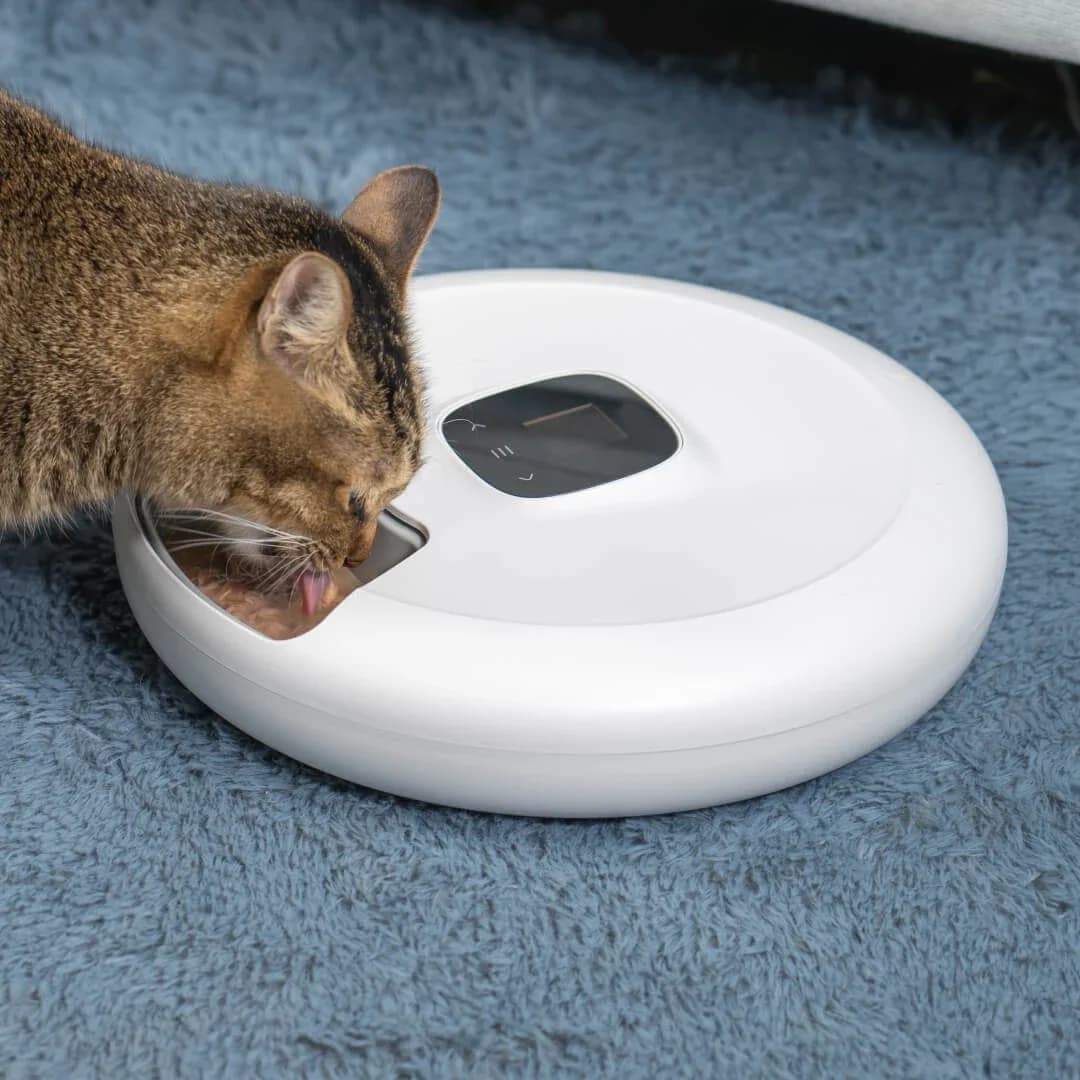 # Mangiatoia automatica calda per gatti, dispenser intelligente per alimenti secchi per animali domestici, triplo contenitore, con ciotola in acciaio inossidabile e coperchio girevole con sei pasti