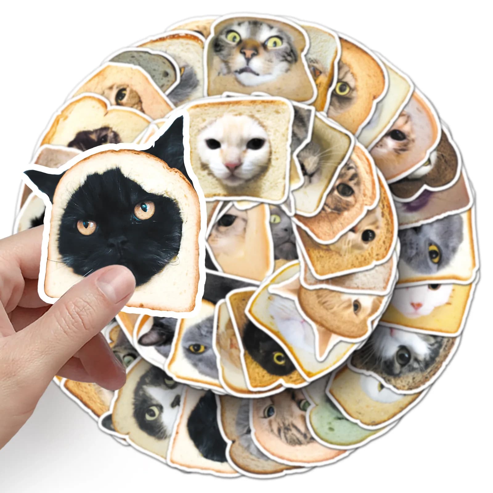 50 Adesivi Divertenti con Gatti, Cartoni Animati, Decorazioni Carine per Giocattoli, Cancelleria, Chitarra, Telefono, Bicicletta, Laptop, Bagagli, Pane, Graffiti