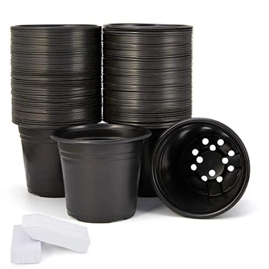 Pack of 100 0.5 Gallon Vivary Vases, Plastic Jars for Flowers and Plants, Plant Containers, Seed Vases, Includes 10