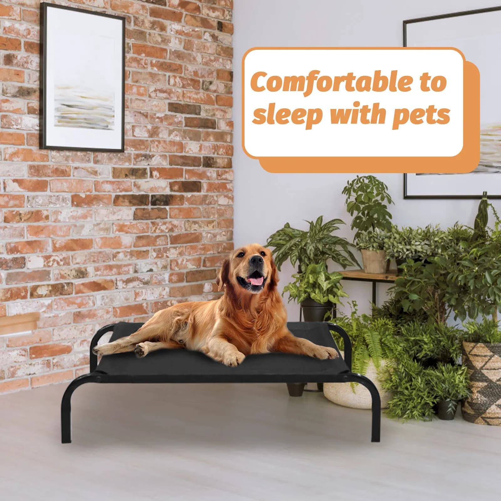 Copertura Staccabile per Cuccia per Cani, Traspirante, Rialzata, per Interni ed Esterni, Amaca per Cuccioli da Campeggio, Lavabile e Resistente all'Usura