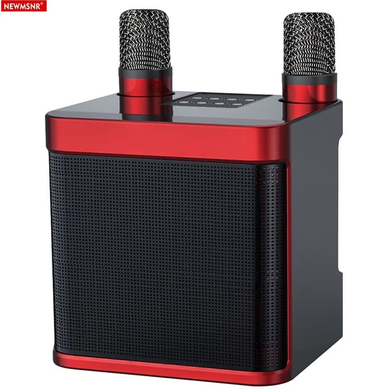 20W Potente microfono doppio portatile wireless Bluetooth Suono Festa in famiglia all'aperto Karaoke Subwoofer Boom Box con 2 microfoni