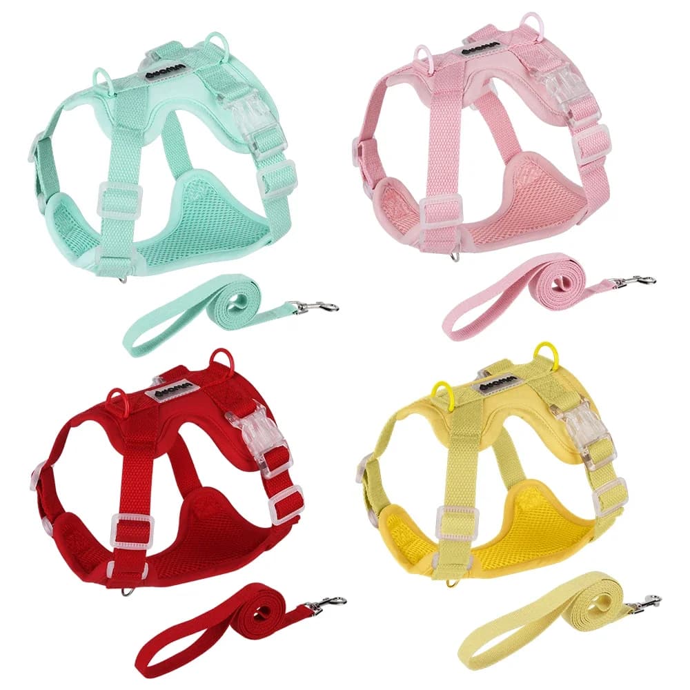 Pettorina per cani leggera e colorata per razze piccole - Gilet per animali traspirante senza tirare stile popammina con guinzaglio Comodo uso esterno