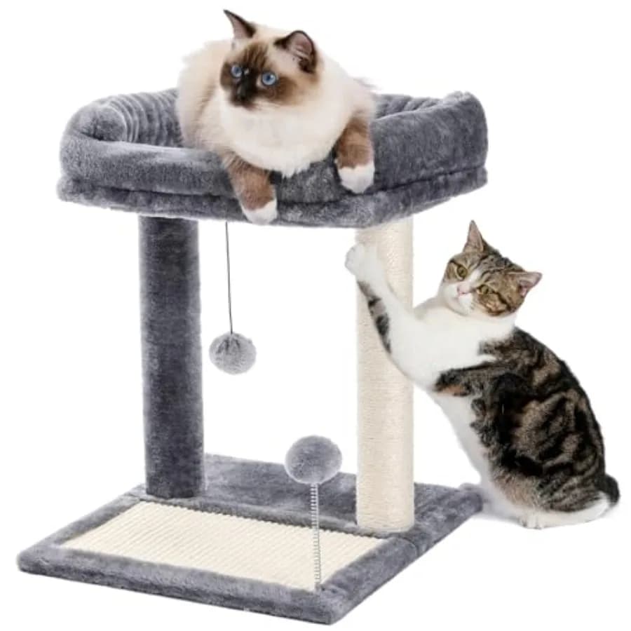 Tiragraffi per Gatti con Letto, Piccolo Albero per Gatti con Tiragraffi, Ampio Letto Superiore Rimovibile e Palla Gioco, Ottimo per Gattini