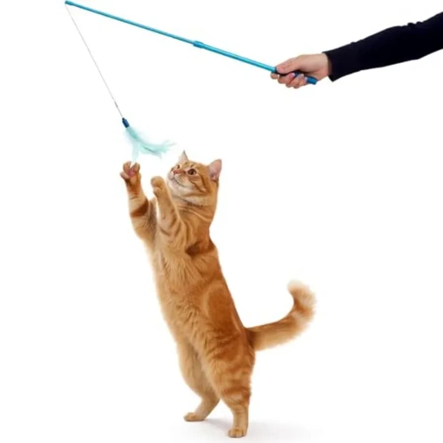 Frisky Flyer Feather Wand Cat Toy, Extendable Up to 24" - Blue, One Size