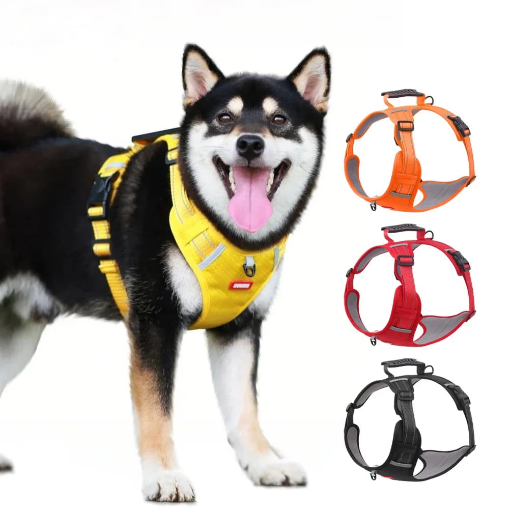 Imbracatura per cani Xs Guinzaglio per cani e imbracatura per imbracatura per cani di taglia media Imbracatura per cani riflettente di medie dimensioni