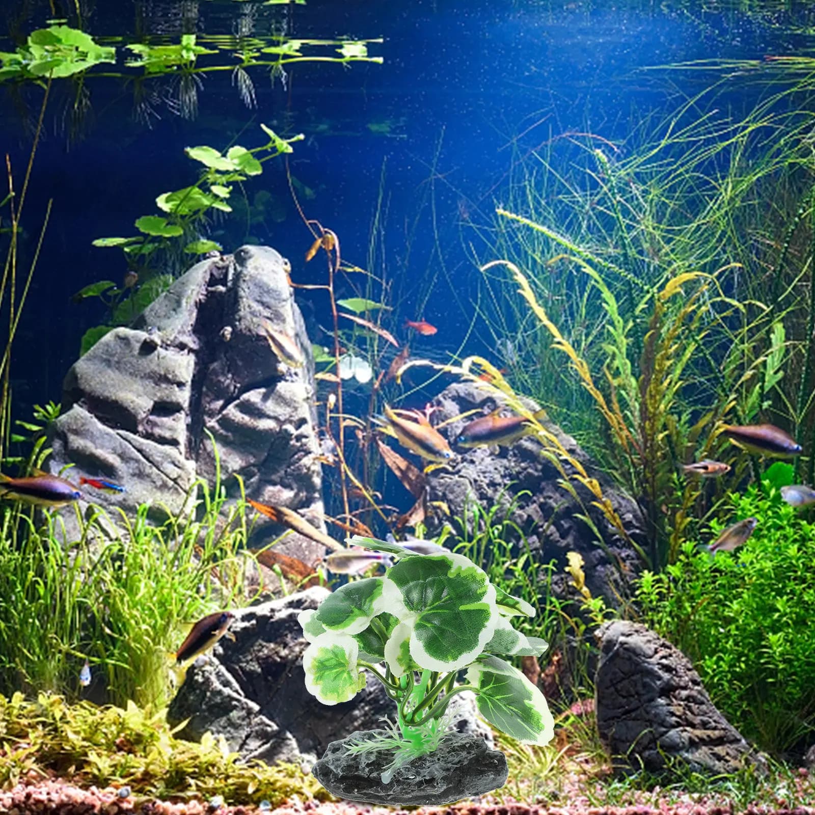 Decorative Artificial Plants for Aquarium, Small Aquatic Plants for Fresh and Salt Water