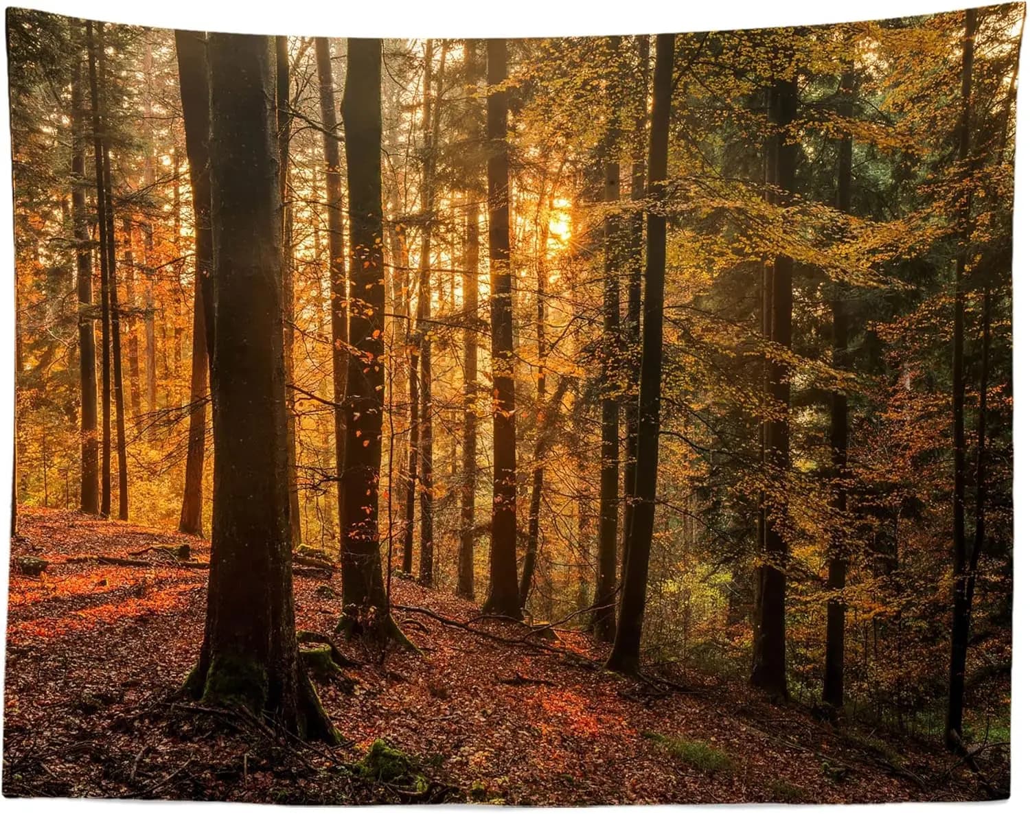 Autumn Forest Sunrise Tapestry Rustic Woodland Nature Landscape Fall Foliage Wall Art Polyester Home Decor Gift