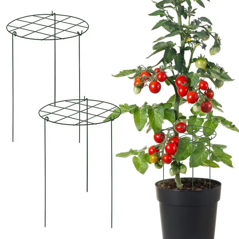 Traliccio for plants Stable for interior 3 pieces Support for iron plants Multifunctional garden supplies for plant propagation in raised pot