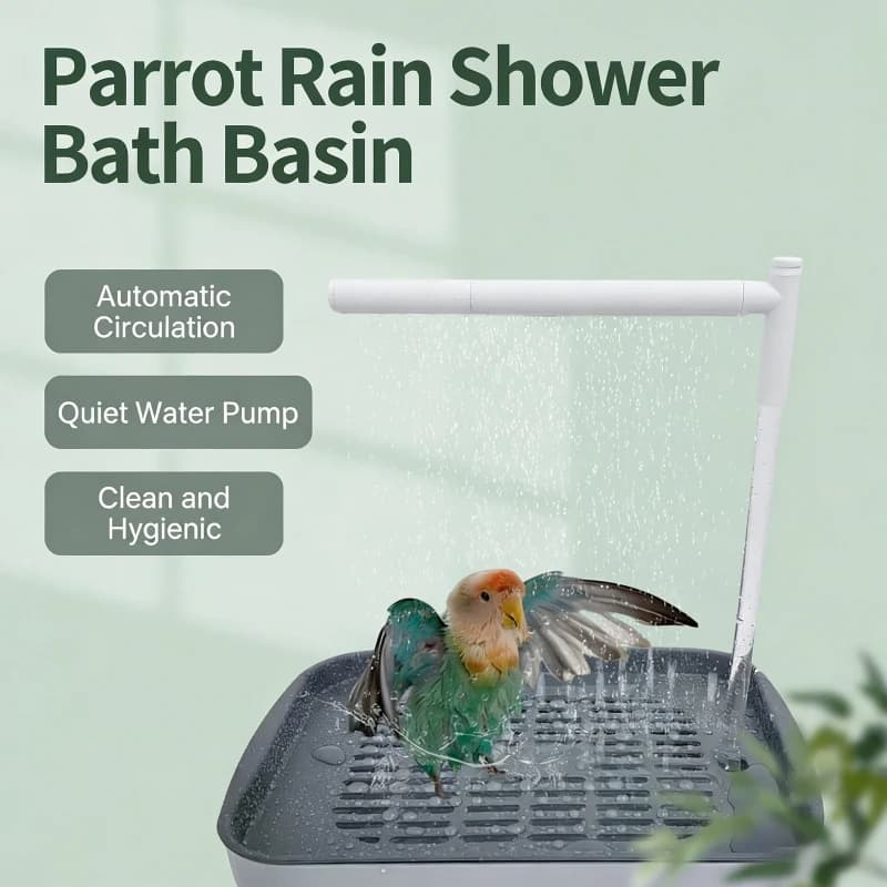 Piscina Elettrica per il Bagno dei Pappagalli, Vasca Automatica per la Doccia degli Uccelli, per Piccoli Volatili, per la Pulizia e la Toelettatura degli Animali Domestici con Sistema di Circolazione dell'Acqua