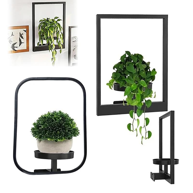 Metal Plant Wall Frame Photo Frame Wall Planter Succulent Wall Mounted Planter Elegant Metal Window Plant Stand For Home Decoration