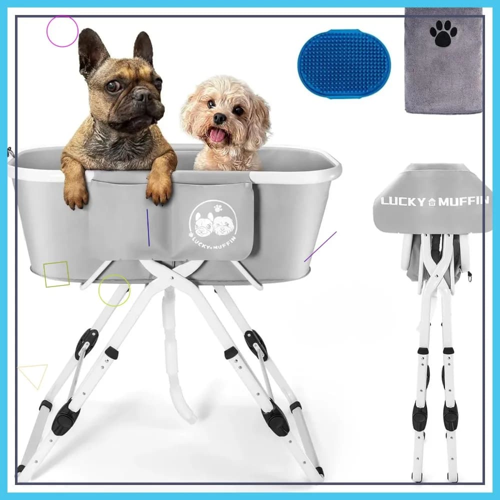 Vasca da Bagno Pieghevole Regolabile per Cani - 5 Altezze, Design Ergonomico per Toelettatura Indoor/Outdoor