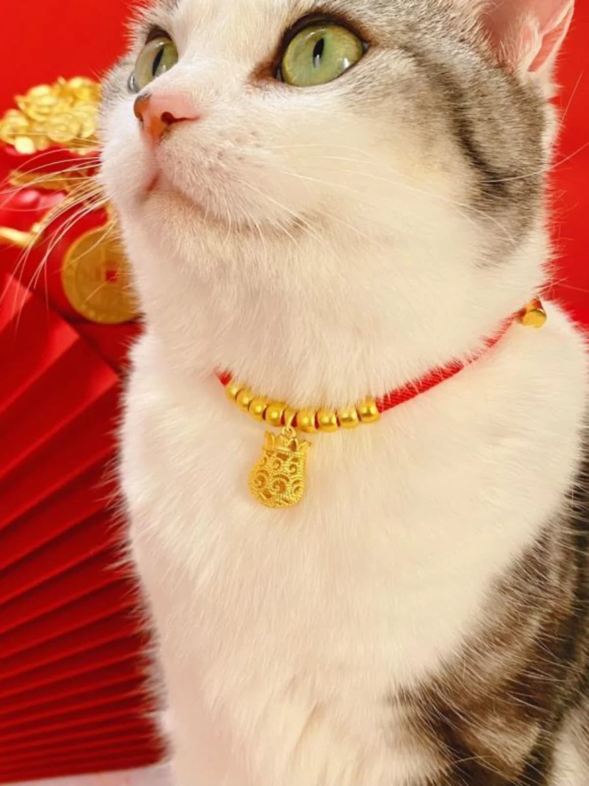 Collare Festivo per Animali Domestici con Campanello, Collana Intrecciata in Corda Rossa Longevi Lo per Cani, Accessori per Celebrazioni di Capodanno